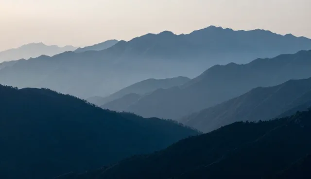 网络稳定性如何影响技术服务选型效果